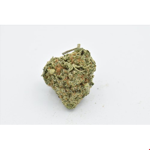 tuna kush bee.JPG